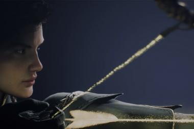 Paragon -   Sparrow