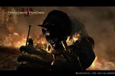    Dragon's Dogma: Dark Arisen