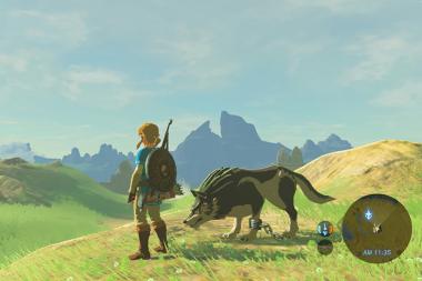 Zelda: Breath of the Wild -    -Switch -Wii U