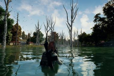   Playerunknown's Battlegrounds     