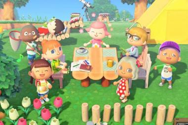      Animal Crossing: New Horizons