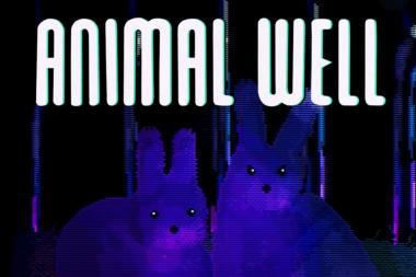  Animal Well,   Bigmode  Videogamedunkey  