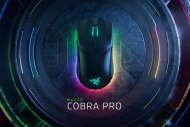 : Razer Cobra Pro