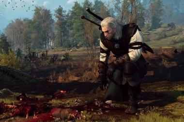  -15    The Witcher 3
