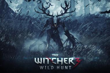 The Witcher 3   