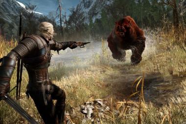   The Witcher 3   