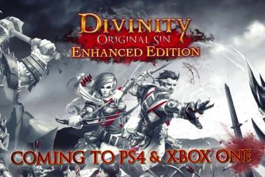 Divinity: Original Sin    
