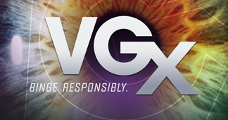 VGX 2013 -    