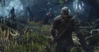 The Witcher 3    