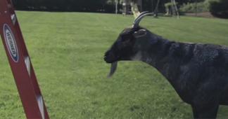 : Goat Simulator  