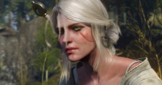 The Witcher 3 -      