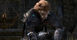 The Elder Scrolls Online    