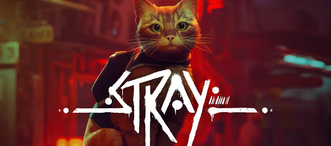 ביקורת: Stray - כל אחד רוצה להיות חתול